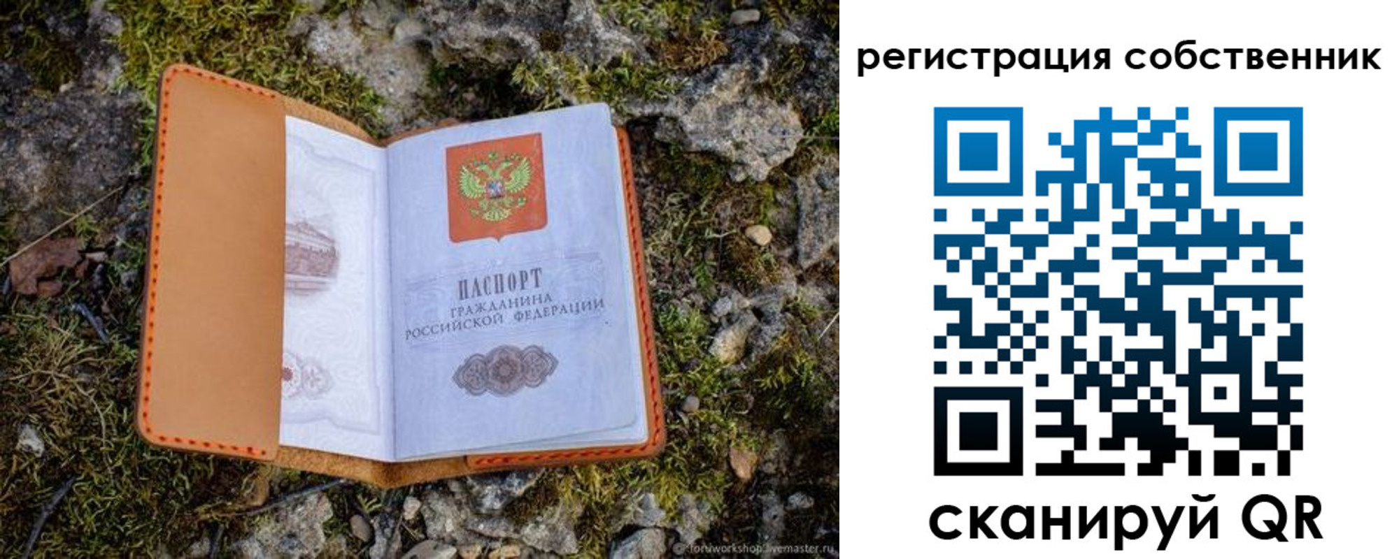 прописка поиск в Чебаркуле
